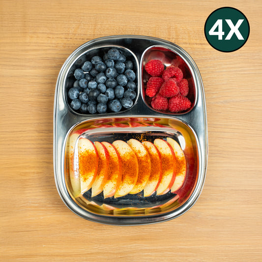 Stainless Steel Children's Plates with Square Compartments (Set of 4)