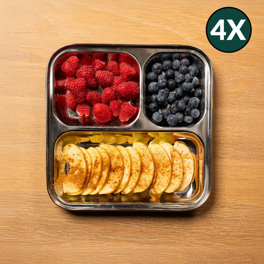 Stainless Steel Children's Plates with Square Compartments (Set of 4)