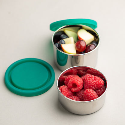 twee snackboxen van rvs gevuld met fruit.
