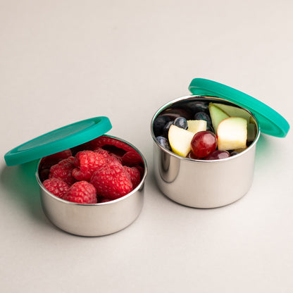 lekvrije RVS fruitbakjes gevuld met fruit